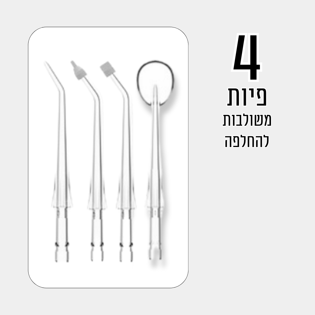 פיות משולבות להחלפה